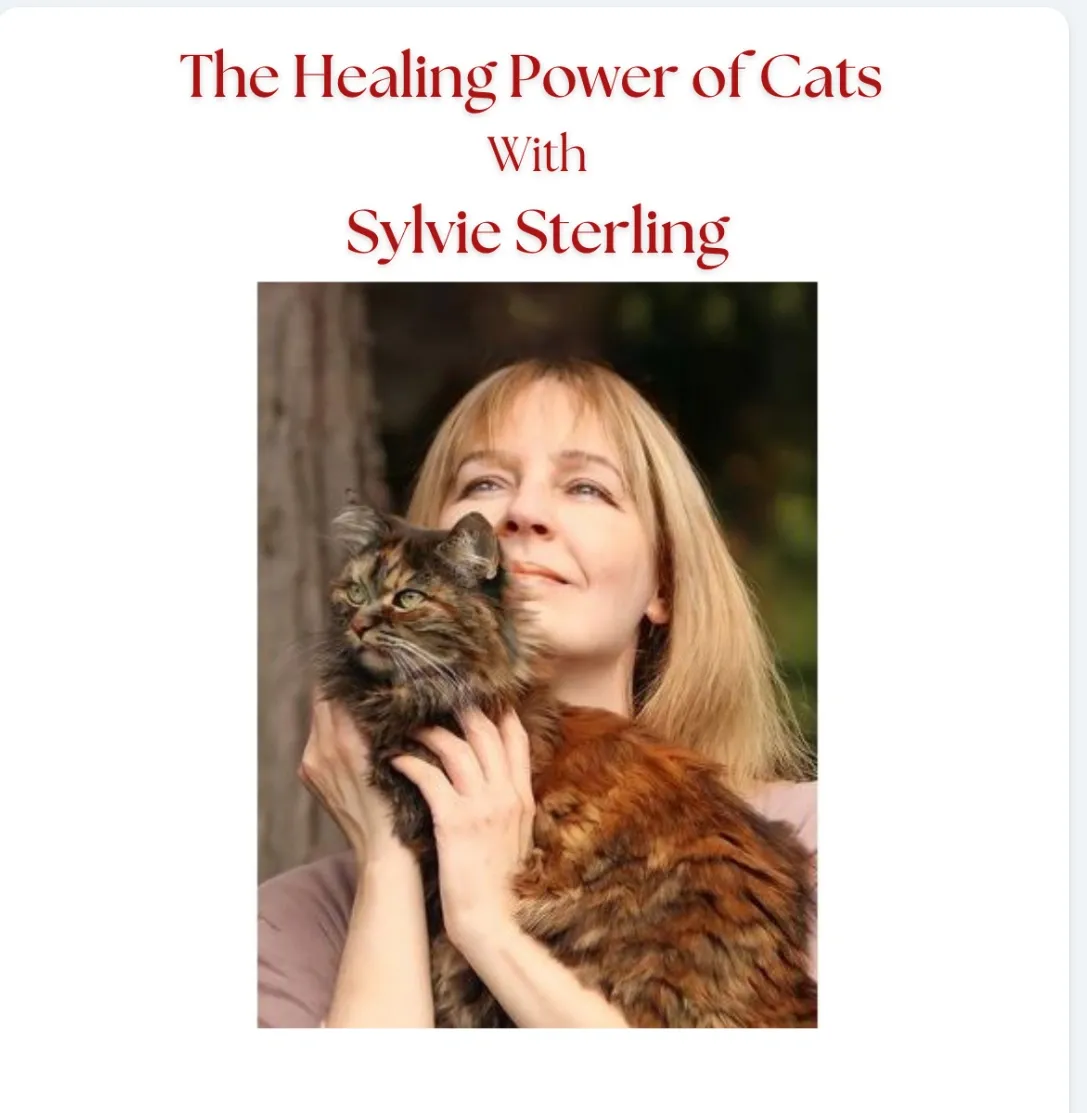 Episode #24 The Healing Power of Cats